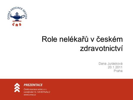 Role nelékařů v českém zdravotnictví